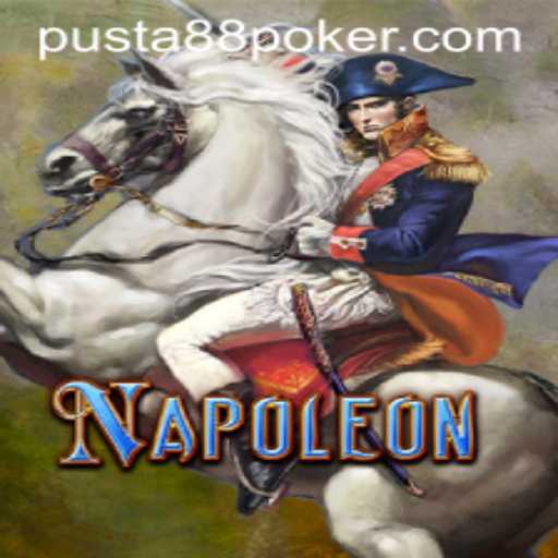 Exploring the Game of Napoleon
